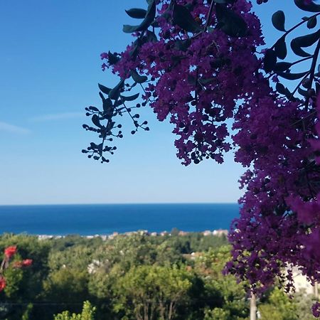 Vila Pogled Petrovac Екстер'єр фото