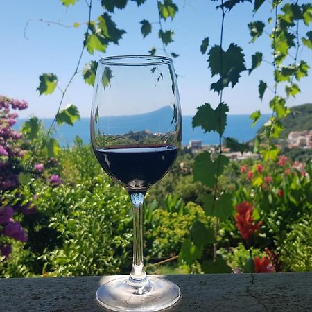 Vila Pogled Petrovac Екстер'єр фото