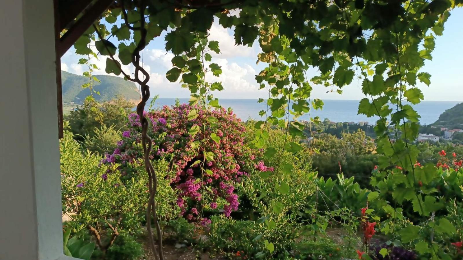 Vila Pogled Petrovac Екстер'єр фото