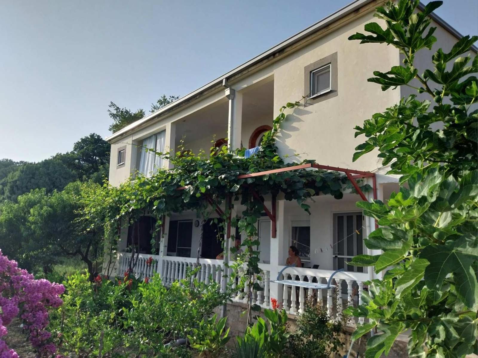 Vila Pogled Petrovac Екстер'єр фото