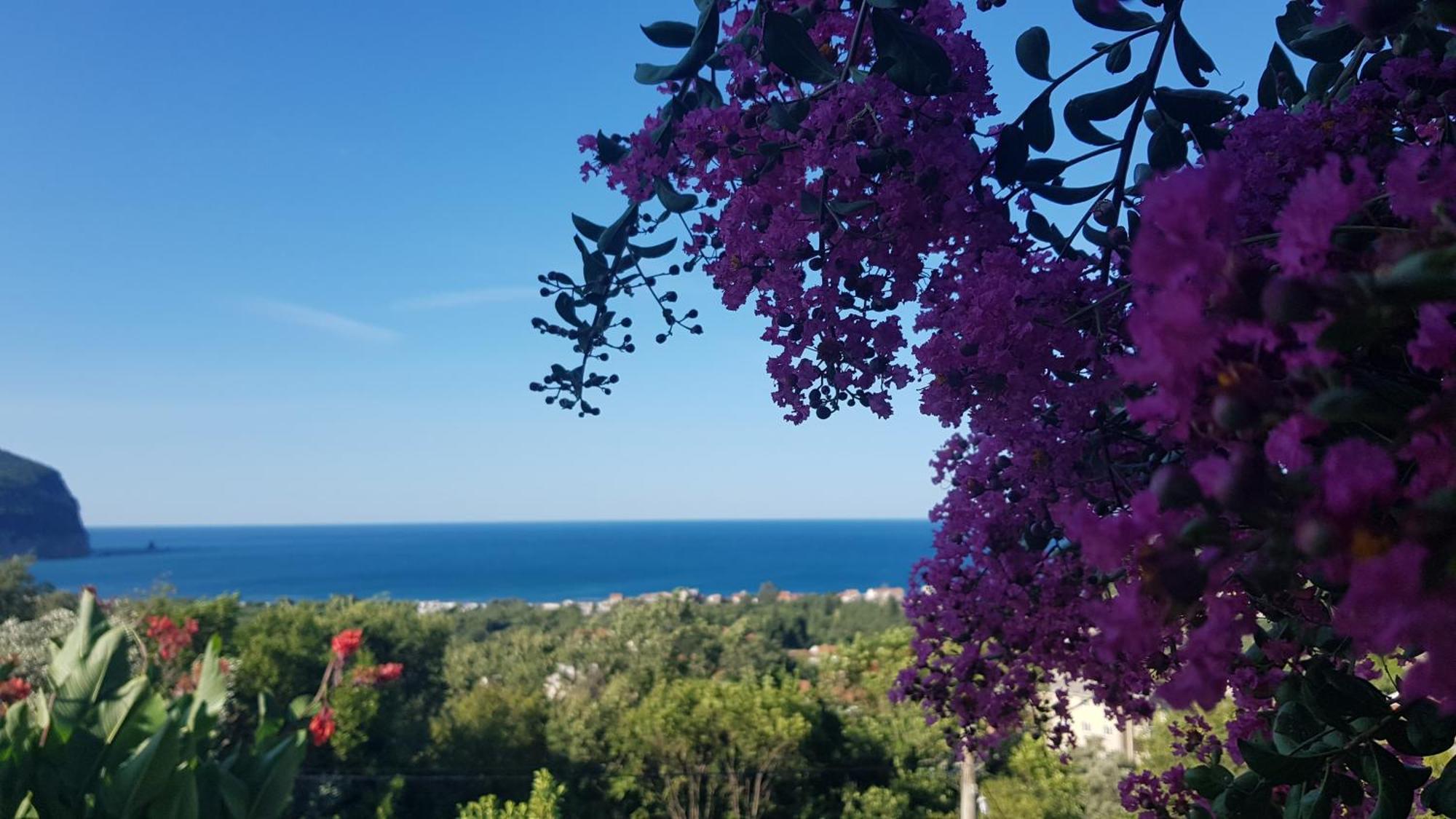 Vila Pogled Petrovac Екстер'єр фото