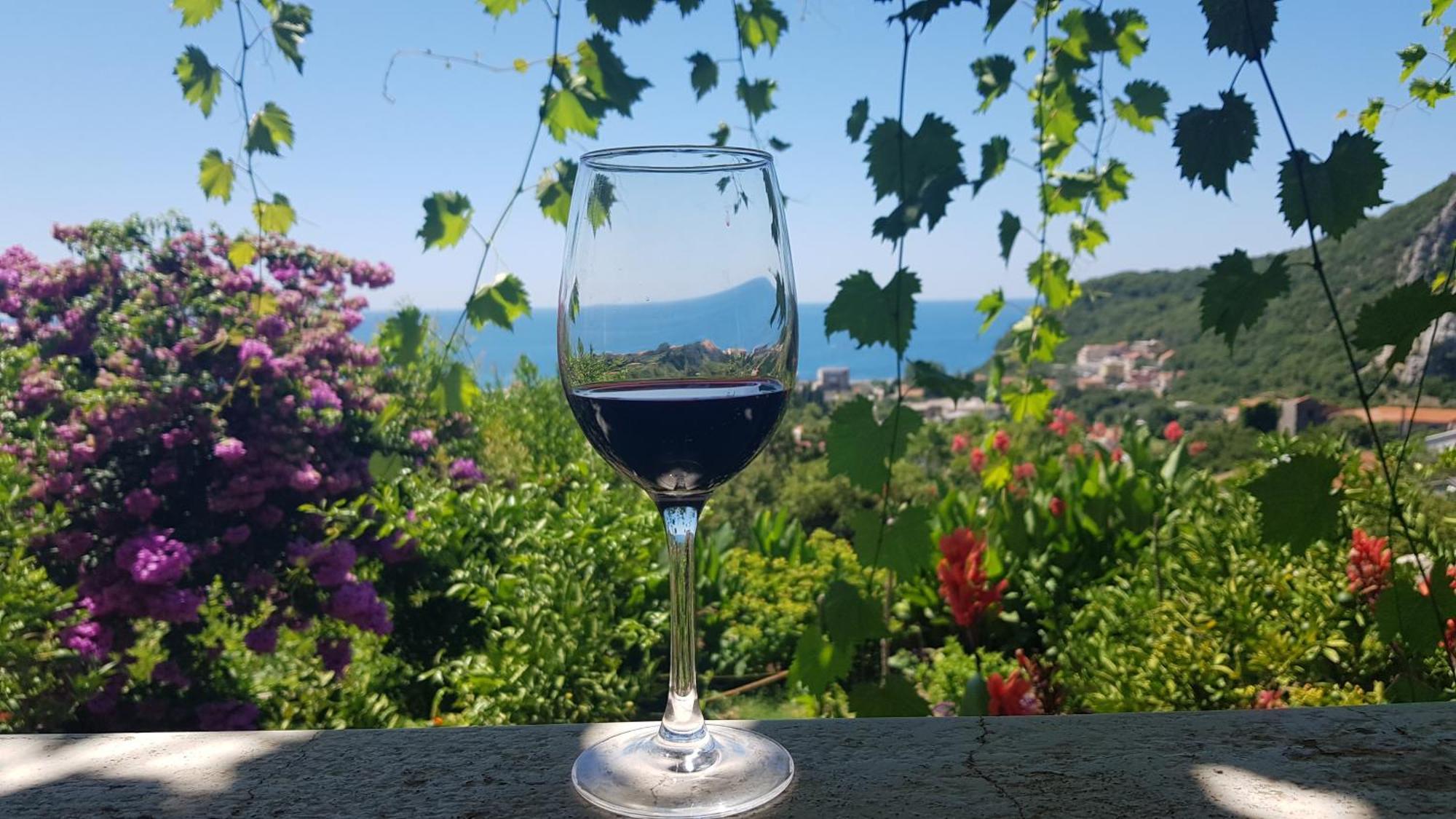 Vila Pogled Petrovac Екстер'єр фото