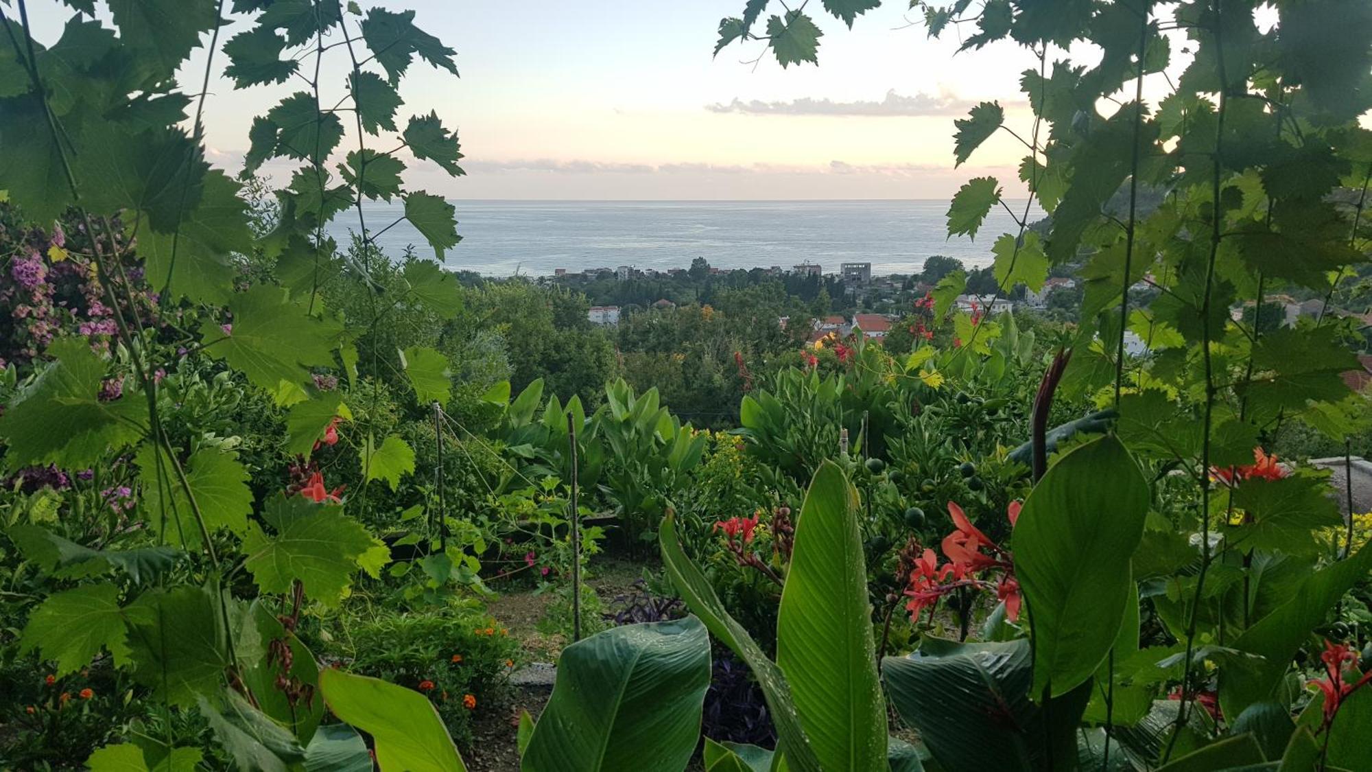Vila Pogled Petrovac Екстер'єр фото