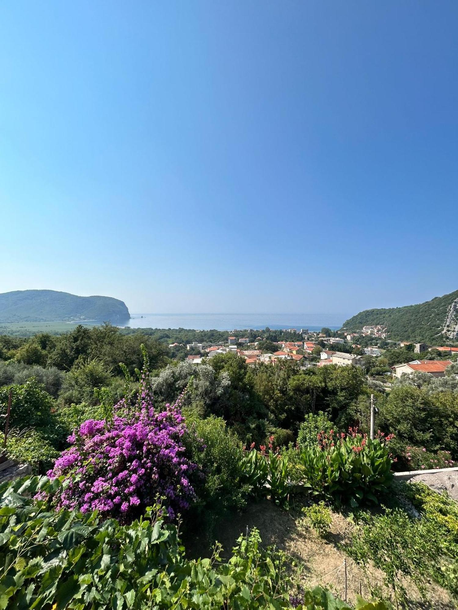 Vila Pogled Petrovac Екстер'єр фото